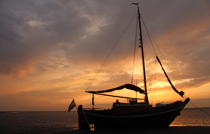 Bart Sanders: Expert arbeidsrecht