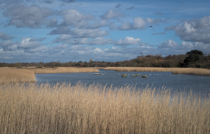 Ruimte voor natuur en watersport in Natura 2000 gebieden