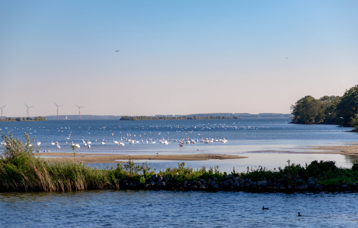 Regioteam IJsselmeer/Markermeer