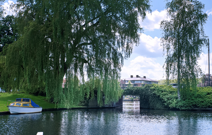 5. Vaste Brug In De Singels Van 2M