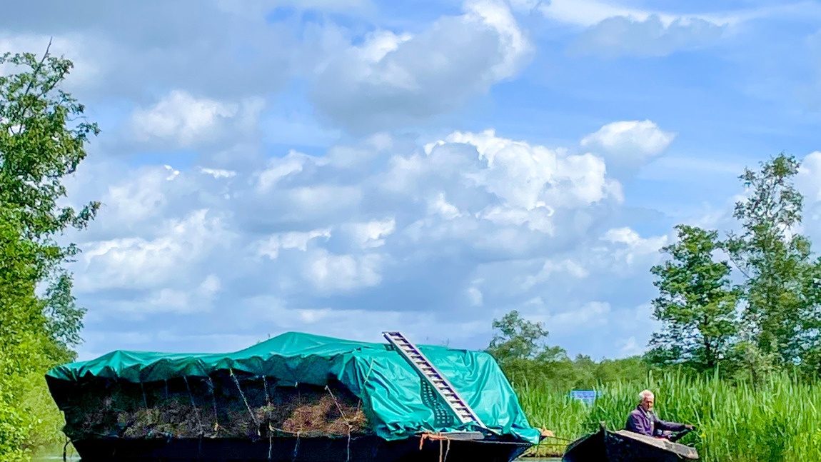 Foto: Marieke Mulder