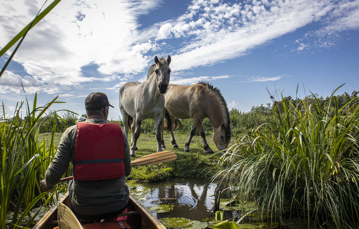 Hoofdfoto Weerribben (1)