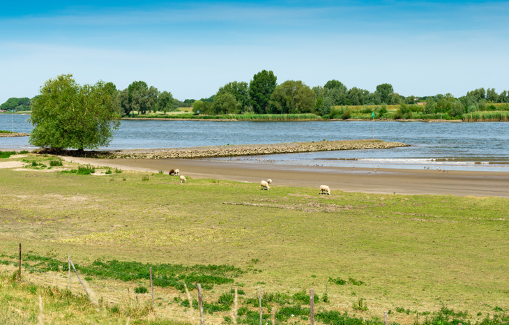 Regioteam Rivierengebied