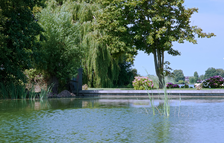 6. Ook Op De Langeraarse Zuidplas Zijn Idyllische Hoekjes Te Vinden