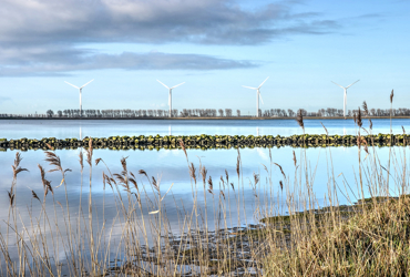 Natuur